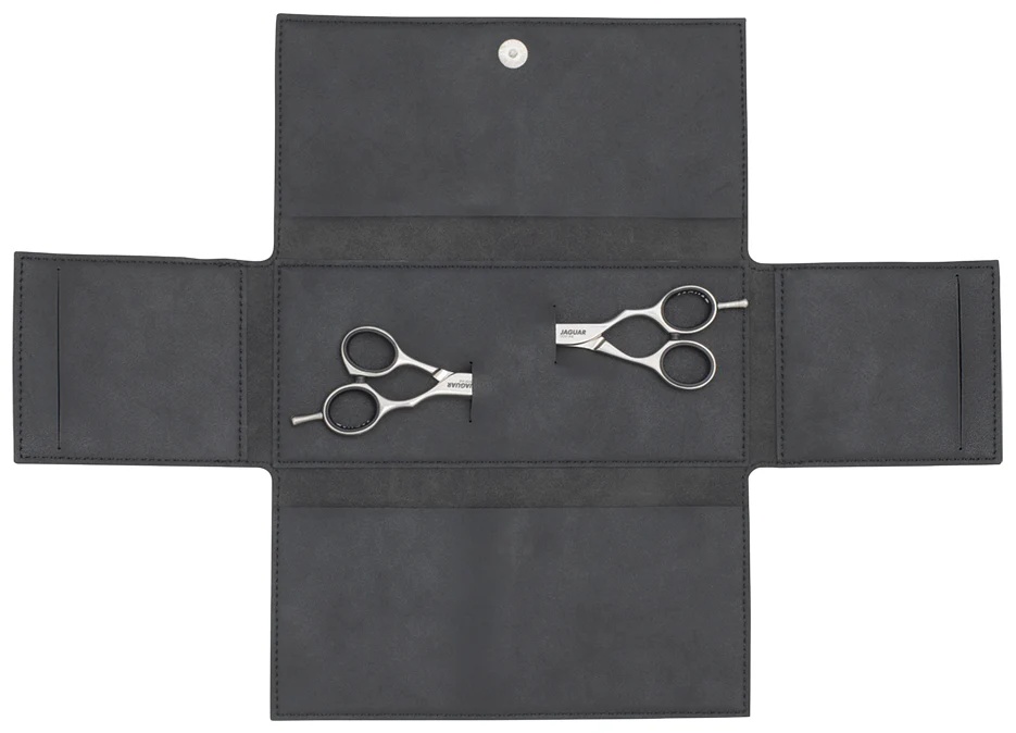Scissors Guard